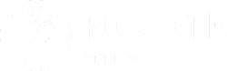 ОАО «Россети Волга»